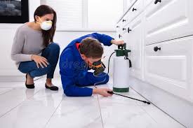 Best Pest Exclusion Services  in Mount Rainier, MD